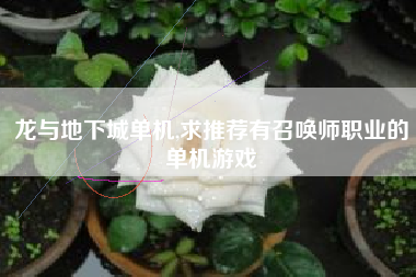 龙与地下城单机,求推荐有召唤师职业的单机游戏
