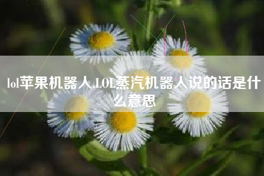lol苹果机器人,LOL蒸汽机器人说的话是什么意思