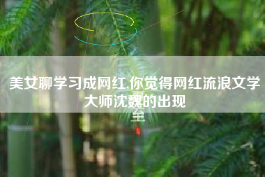 美女聊学习成网红,你觉得网红流浪文学大师沈魏的出现