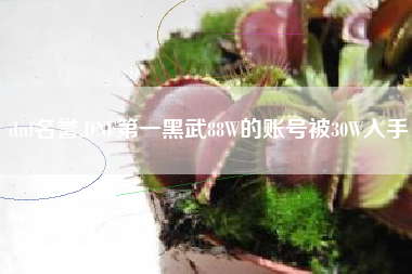 dnf名誉,DNF第一黑武88W的账号被30W入手
