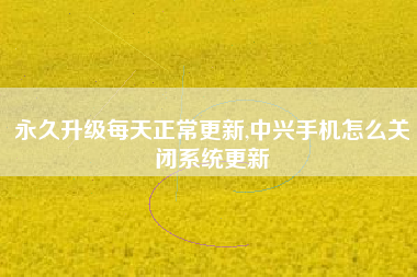 永久升级每天正常更新,中兴手机怎么关闭系统更新