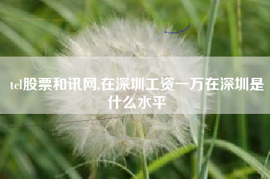 tcl股票和讯网,在深圳工资一万在深圳是什么水平