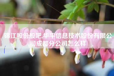 锦江股份股吧,华平信息技术股份有限公司成都分公司怎么样