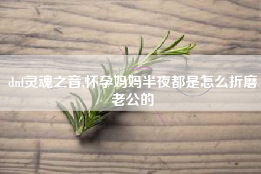 dnf灵魂之音,怀孕妈妈半夜都是怎么折磨老公的
