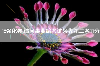 12强化卷,请问事业编考试领先第二名11分