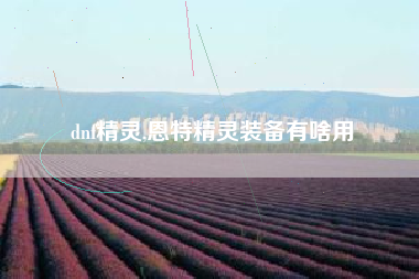 dnf精灵,恩特精灵装备有啥用