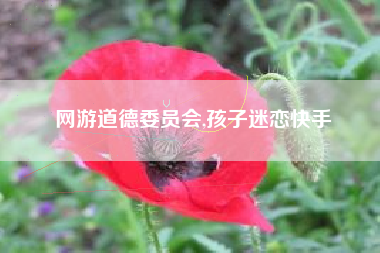 网游道德委员会,孩子迷恋快手