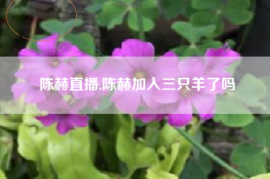 陈赫直播,陈赫加入三只羊了吗