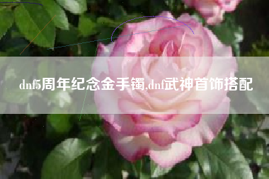 dnf5周年纪念金手镯,dnf武神首饰搭配