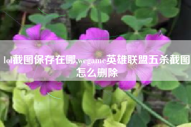 lol截图保存在哪,wegame英雄联盟五杀截图怎么删除