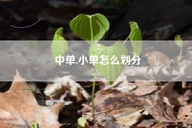 中单,小单怎么划分