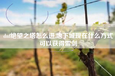 dnf绝望之塔怎么进,地下城现在什么方式可以获得雷剑