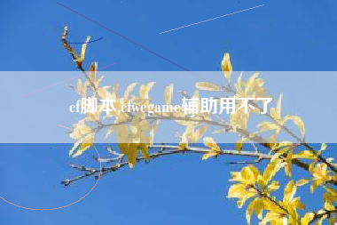 cf脚本,cfwegame辅助用不了