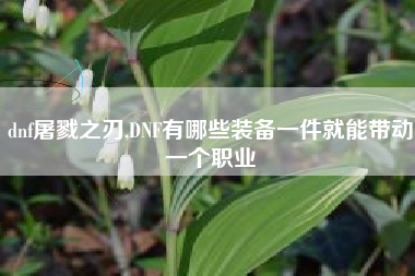 dnf屠戮之刃,DNF有哪些装备一件就能带动一个职业
