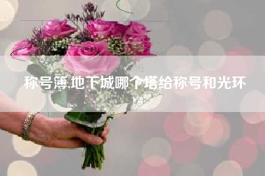 称号簿,地下城哪个塔给称号和光环