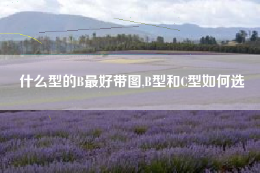 什么型的B最好带图,B型和C型如何选