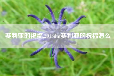 赛利亚的祝福,2013dnf赛利亚的祝福怎么