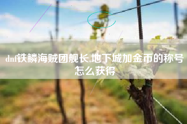 dnf铁鳞海贼团舰长,地下城加金币的称号怎么获得