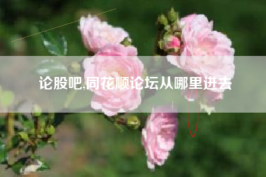 论股吧,同花顺论坛从哪里进去