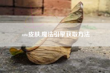 ssw皮肤,魔法引擎获取方法