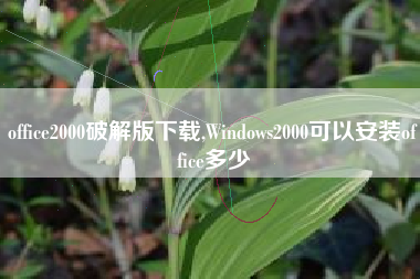 office2000破解版下载,Windows2000可以安装office多少
