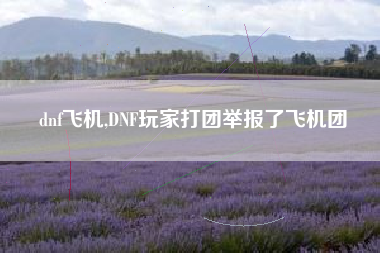 dnf飞机,DNF玩家打团举报了飞机团