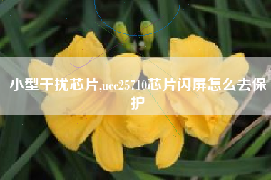 小型干扰芯片,ucc25710芯片闪屏怎么去保护