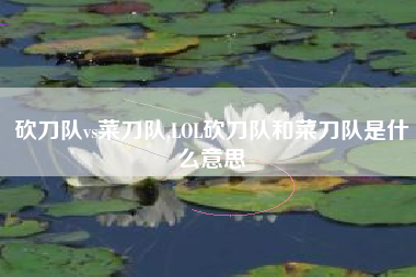 砍刀队vs菜刀队,LOL砍刀队和菜刀队是什么意思