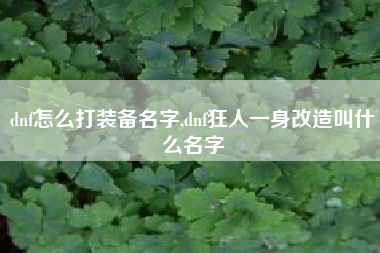 dnf怎么打装备名字,dnf狂人一身改造叫什么名字