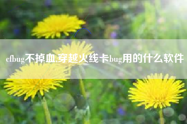 cfbug不掉血,穿越火线卡bug用的什么软件