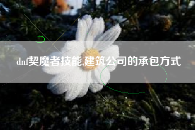 dnf契魔者技能,建筑公司的承包方式