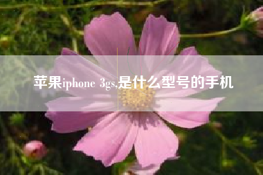 苹果iphone 3gs,是什么型号的手机