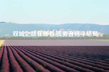 双城之战在哪看,孤勇者格斗结局