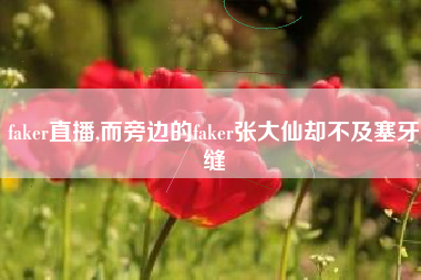 faker直播,而旁边的faker张大仙却不及塞牙缝