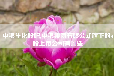 中粮生化股吧,中粮集团有限公式旗下的A股上市公司有哪些