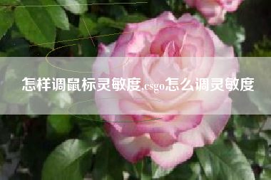 怎样调鼠标灵敏度,csgo怎么调灵敏度