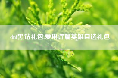 dnf黑钻礼包,爱琳诗篇英雄自选礼包
