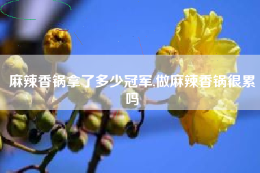 麻辣香锅拿了多少冠军,做麻辣香锅很累吗