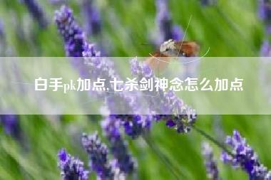 白手pk加点,七杀剑神念怎么加点