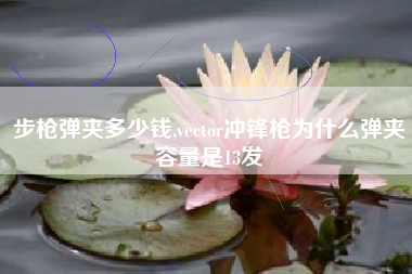 步枪弹夹多少钱,vector冲锋枪为什么弹夹容量是13发