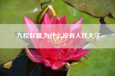 九校联盟,为什么没有人民大学
