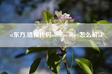 st东方,错误代码outofmemory怎么解决