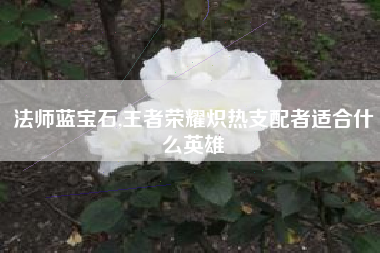 法师蓝宝石,王者荣耀炽热支配者适合什么英雄