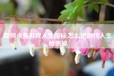 如何点亮游戏人生图标,怎么把游戏人生给删掉