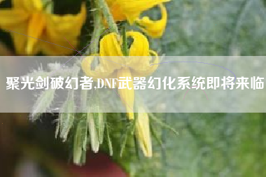 聚光剑破幻者,DNF武器幻化系统即将来临