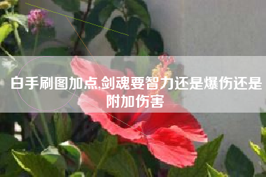 白手刷图加点,剑魂要智力还是爆伤还是附加伤害