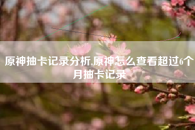 原神抽卡记录分析,原神怎么查看超过6个月抽卡记录