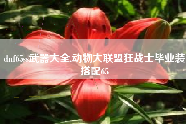 dnf65ss武器大全,动物大联盟狂战士毕业装搭配65