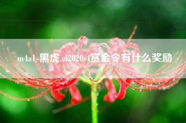 m4a1-黑虎,cf2020s4赏金令有什么奖励