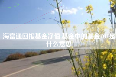 海富通回报基金净值,基金中的基金FOF是什么意思